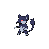 Shadow Rattata (Alolan)
